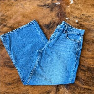 American Eagle Low Rise Ultra wide Leg Jeans